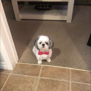 Meet your Posher, Arlene